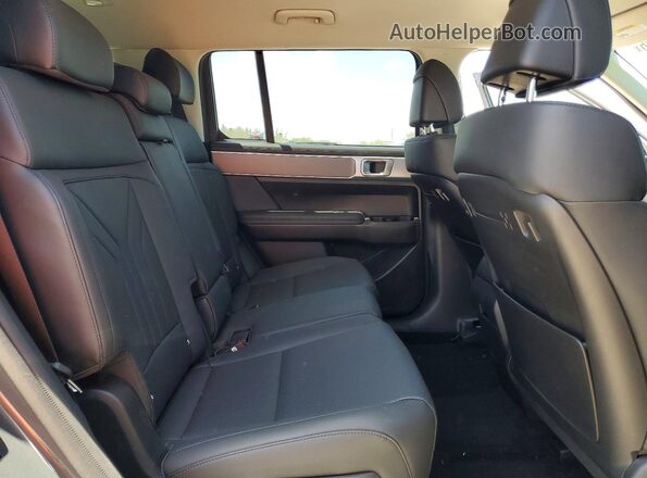 5NMP24GL5SH075456 2025 HYUNDAI SANTA Silver უკანა სალონის ხედი