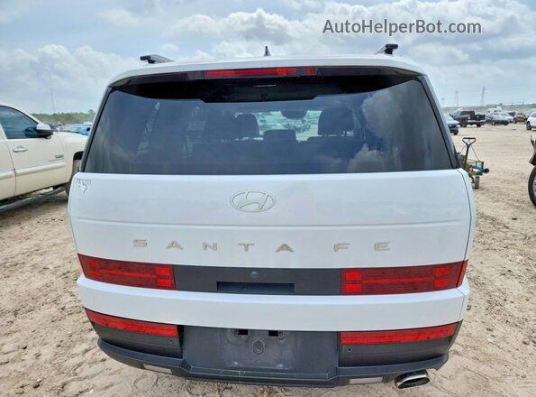 5NMP24GL5SH093309 2025 HYUNDAI SANTA White უკანა ხედი