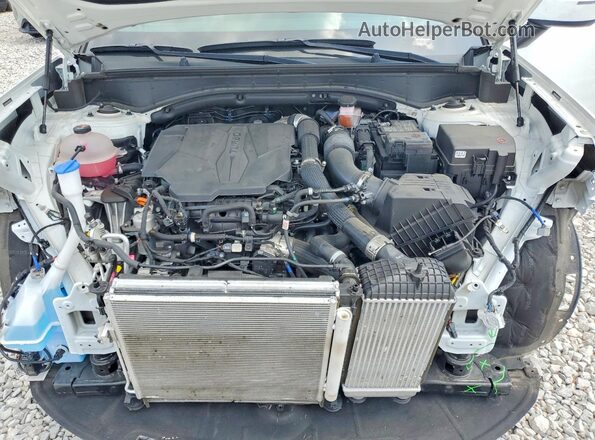 5NMP24GL9RH012161 2024 HYUNDAI SANTA White 