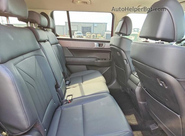 5NMP24GLXSH073685 2025 HYUNDAI SANTA Красный Вид задней части салона