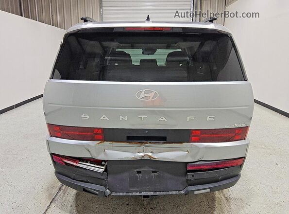 5NMP2DG12RH004384 2024 HYUNDAI SANTA Silver Rear view