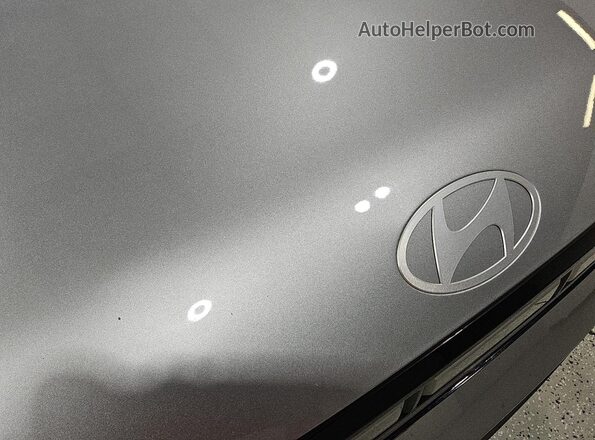 5NMP2DG12RH004384 2024 HYUNDAI SANTA Silver 