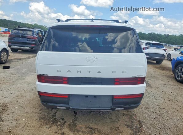 5NMP2DG17SH065798 2025 HYUNDAI SANTA White Вид ззаду