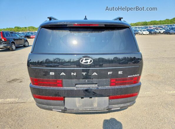 5NMP2DG19SH053538 2025 HYUNDAI SANTA Black Вид ззаду