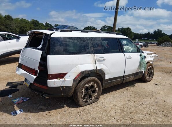 5NMP2DGL5RH030625 2024 HYUNDAI SANTA FE White Tył prawy