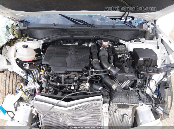 5NMP2DGL5RH030625 2024 HYUNDAI SANTA FE White Widok z tyłu