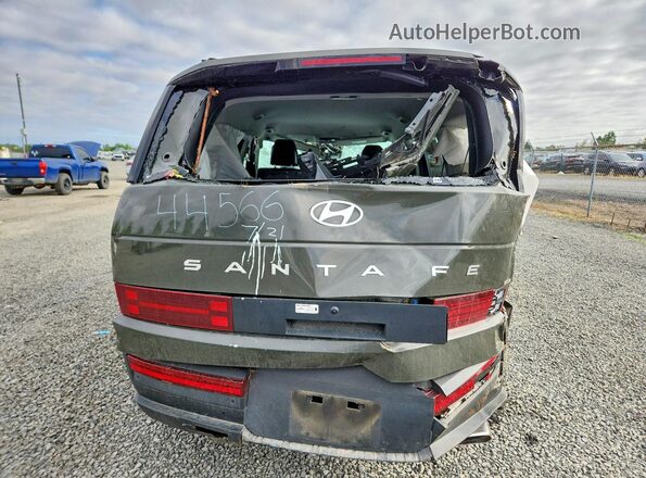 5NMP2DGL6RH027703 2024 HYUNDAI SANTA Green Widok z tyłu