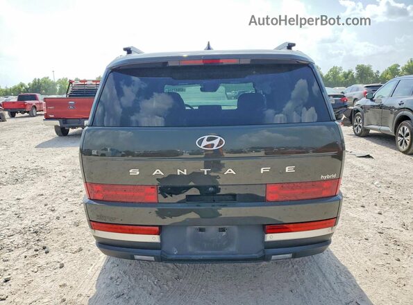 5NMP34G10RH009404 2024 HYUNDAI SANTA Green Rear view