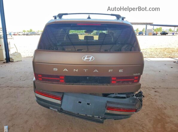 5NMP34G16RH008127 2024 HYUNDAI SANTA Brown უკანა ხედი