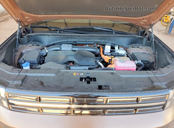 5NMP34G16RH008127 2024 HYUNDAI SANTA Brown უკანა სალონის ხედი