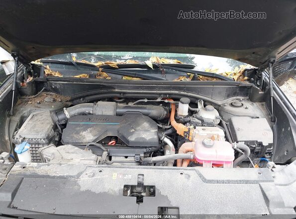 5NMP3DG18RH009487 2024 HYUNDAI SANTA FE HYBRID Green Rear view