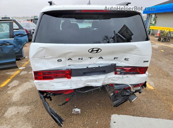 5NMP3DGL7RH024757 2024 HYUNDAI SANTA White Rear view