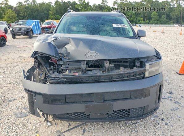 5NMP54GL6SH074369 2025 HYUNDAI SANTA Gray Դիմացի տեսք