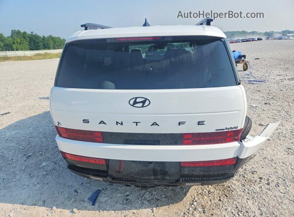 5NMP5DG10SH038921 2025 HYUNDAI SANTA White Հետևի տեսք