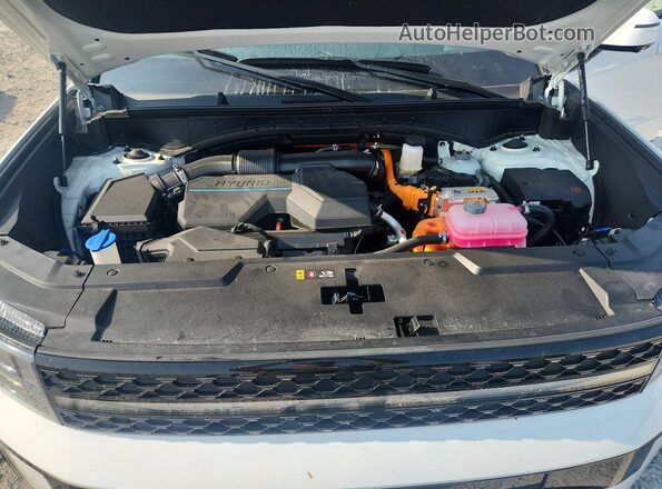 5NMP5DG10SH038921 2025 HYUNDAI SANTA White Շարժիչի բաժամունքի տեսք