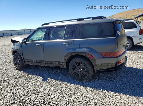 5NMP5DG11SH031752 2025 HYUNDAI SANTA Charcoal უკანა მარცხენა