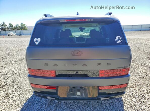 5NMP5DG11SH031752 2025 HYUNDAI SANTA Charcoal უკანა ხედი