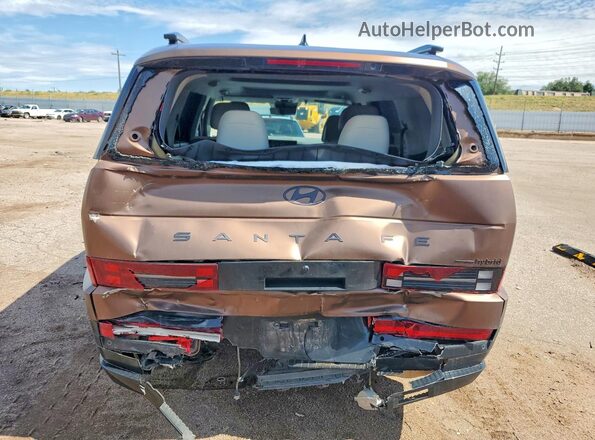 5NMP5DG12SH048544 2025 HYUNDAI SANTA Brown Rear view
