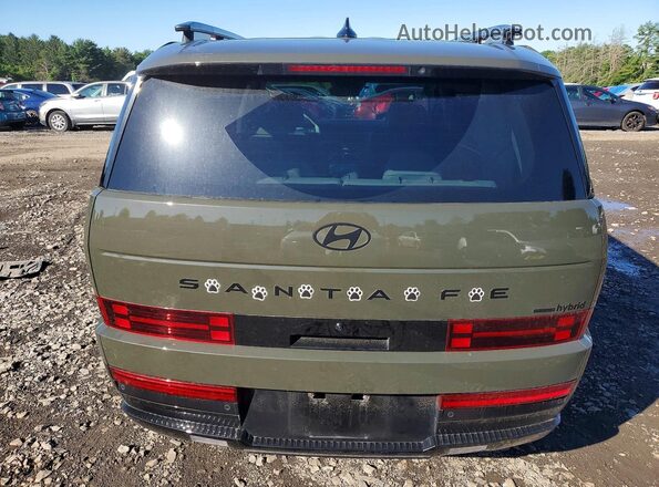 5NMP5DG13SH057057 2025 HYUNDAI SANTA Green უკანა ხედი