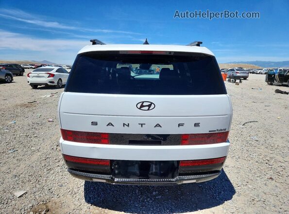 5NMP5DG14SH025279 2025 HYUNDAI SANTA White Rear view