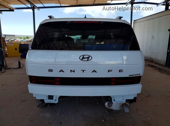 5NMP5DG17SH046014 2025 HYUNDAI SANTA White უკანა ხედი