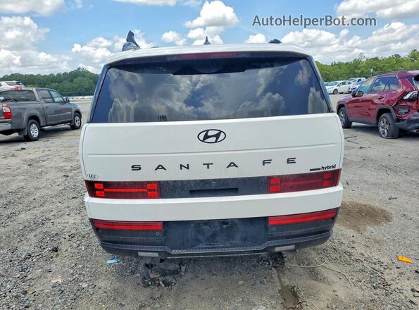 5NMP5DG18TH080822 2026 HYUNDAI SANTA Белый Вид сзади