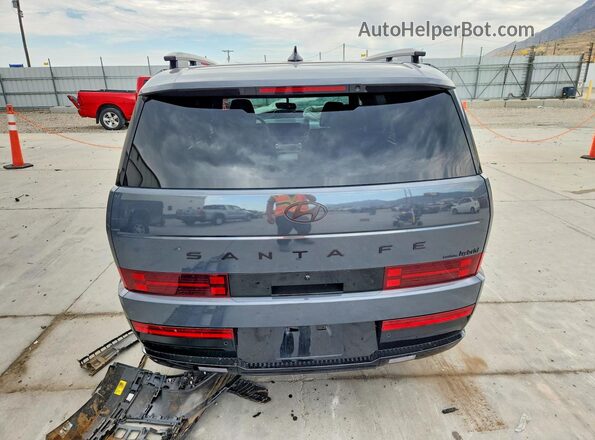 5NMP5DG19SH023348 2025 HYUNDAI SANTA Gray Rear view