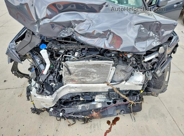 5NMP5DG19SH023348 2025 HYUNDAI SANTA Gray Rear interior view