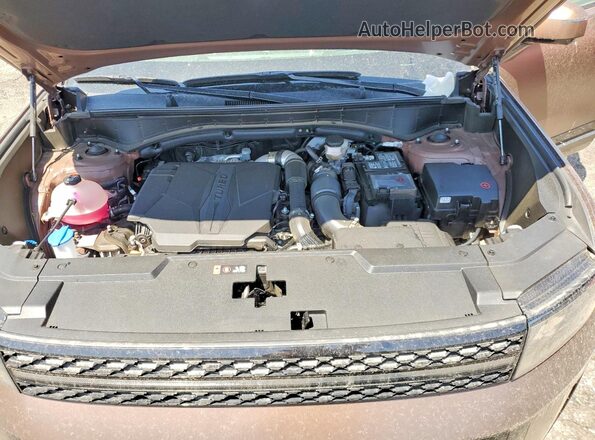 5NMP5DGL0RH065872 2024 HYUNDAI SANTA Brown Սալոնի հետևի տեսք