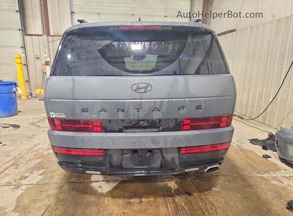 5NMP5DGL2RH061791 2024 HYUNDAI SANTA Gray Widok z tyłu
