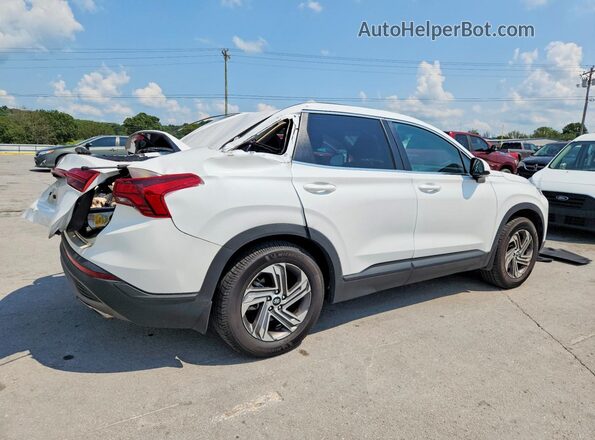 5NMS14AJ0PH658450 2023 HYUNDAI SANTA White Tył prawy