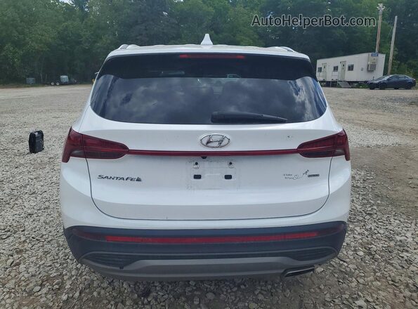 5NMS1DAJ5NH429548 2022 HYUNDAI SANTA Белый Вид сзади