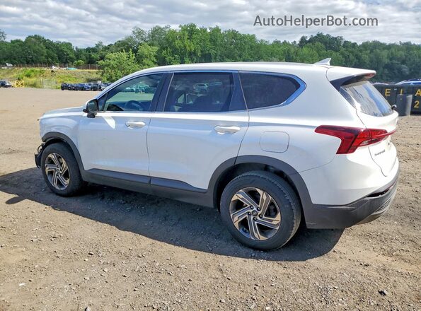 5NMS1DAJ8MH310682 2021 HYUNDAI SANTA Белый Задняя левая четверть