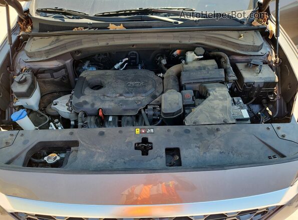 5NMS23AD2LH244582 2020 HYUNDAI SANTA Tan უკანა სალონის ხედი