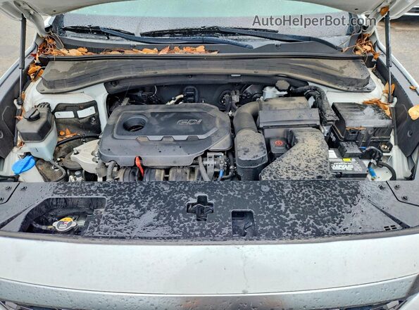 5NMS23ADXLH206078 2020 HYUNDAI SANTA Белый Вид подкапотного пространства