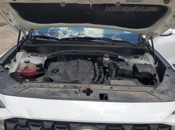 5NMS24AJ1PH649026 2023 HYUNDAI SANTA White Widok wnętrza z tyłu