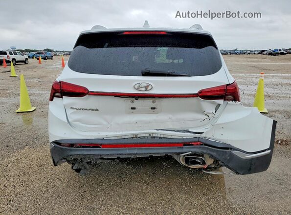 5NMS24AJ2MH315406 2021 HYUNDAI SANTA Белый Вид сзади