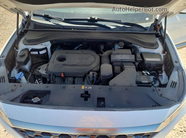 5NMS2CAD1LH216885 2020 HYUNDAI SANTA White Вид задньої частини салону