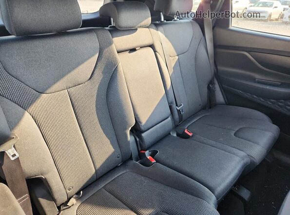 5NMS2CAD2LH228639 2020 HYUNDAI SANTA Gray Rear seats view