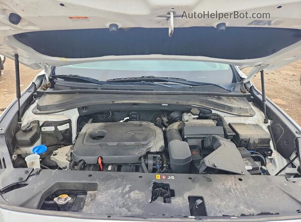 5NMS2CAD5LH237691 2020 HYUNDAI SANTA Белый Вид задней части салона