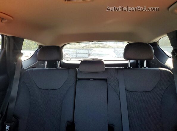 5NMS2CAD7LH243881 2020 HYUNDAI SANTA Gray Rear seats view