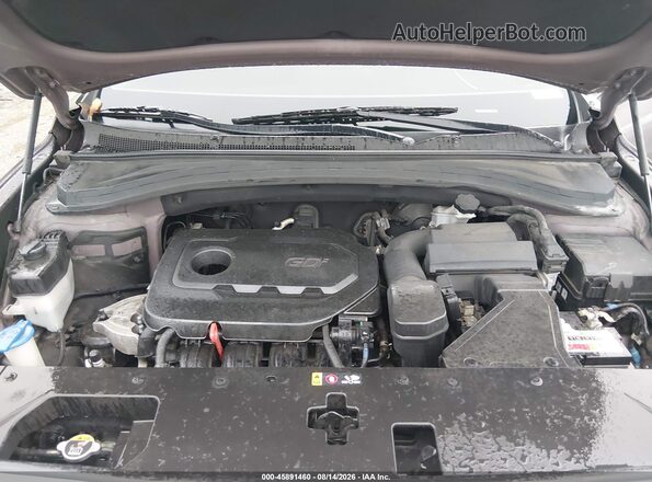 5NMS2CAD8KH018254 2019 HYUNDAI SANTA FE Gray Rear view