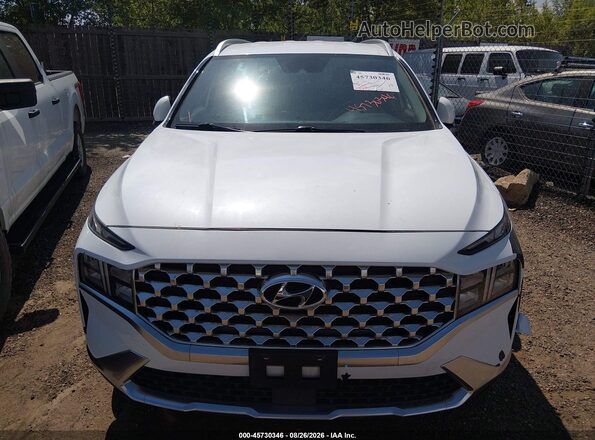 5NMS2DAJ2MH369398 2021 HYUNDAI SANTA FE White Rear view