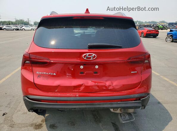 5NMS2DAJ2PH502617 2023 HYUNDAI SANTA Красный Вид сзади