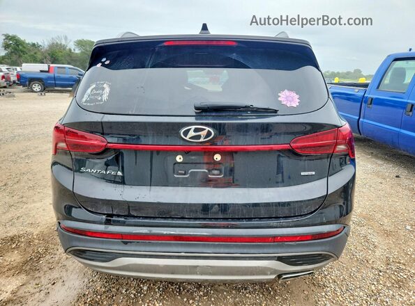 5NMS2DAJ3PH524030 2023 HYUNDAI SANTA Черный Вид сзади