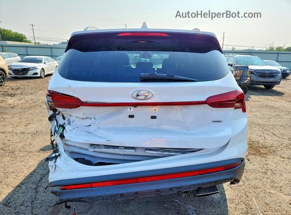 5NMS2DAJ7PH516142 2023 HYUNDAI SANTA White Vista trasera