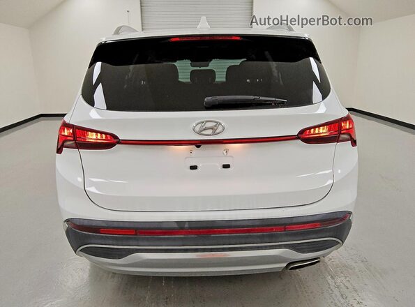 5NMS2DAJ9MH356339 2021 HYUNDAI SANTA White Rear view