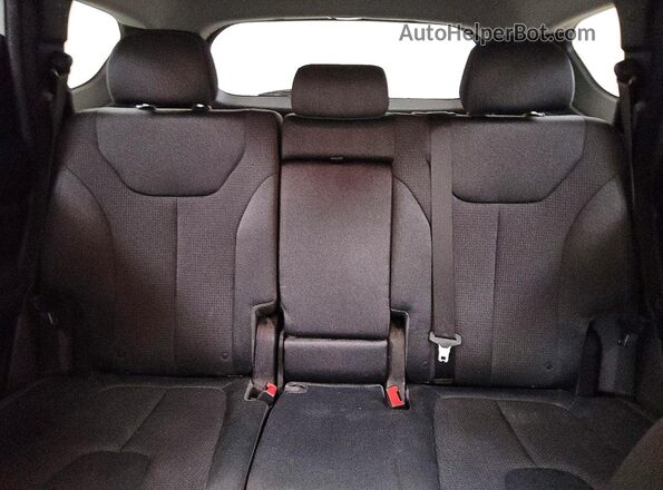 5NMS2DAJ9MH356339 2021 HYUNDAI SANTA White Rear seats view