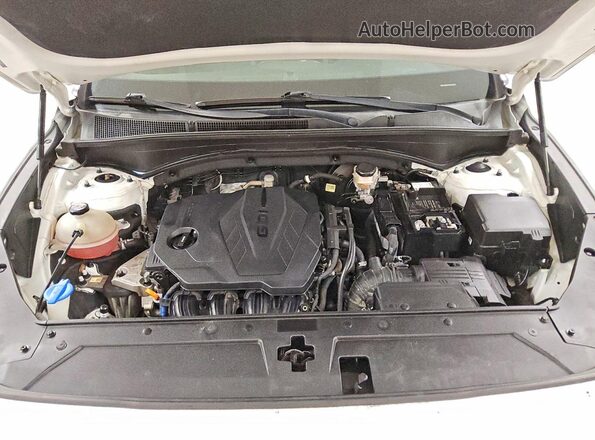 5NMS2DAJ9MH356339 2021 HYUNDAI SANTA White Engine compartment view