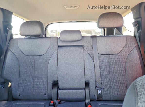 5NMS2DAJ9PH638663 2023 HYUNDAI SANTA Серебряный Вид задних сидений